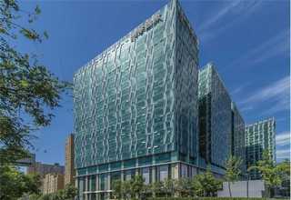 福建商场仿真草生产厂家