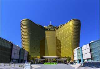 福建功能性纱布批发价格